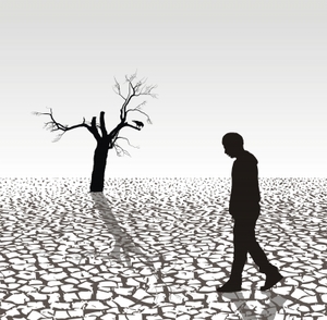 How Do Humans Affect the Environment