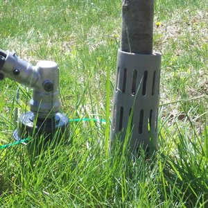 tree guard to save trees